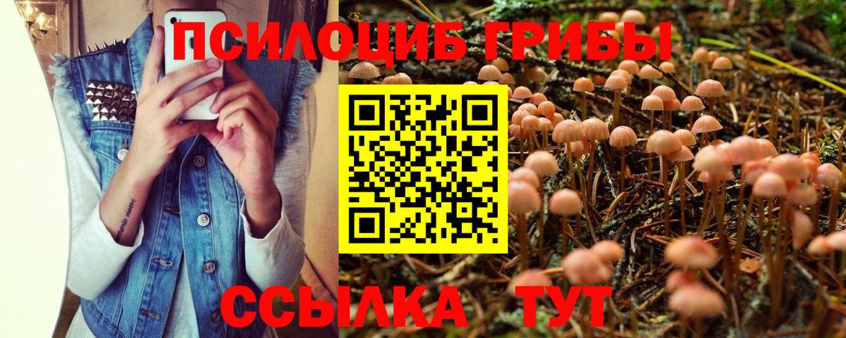 Псилоцибиновые грибы мицелий Павловский Посад