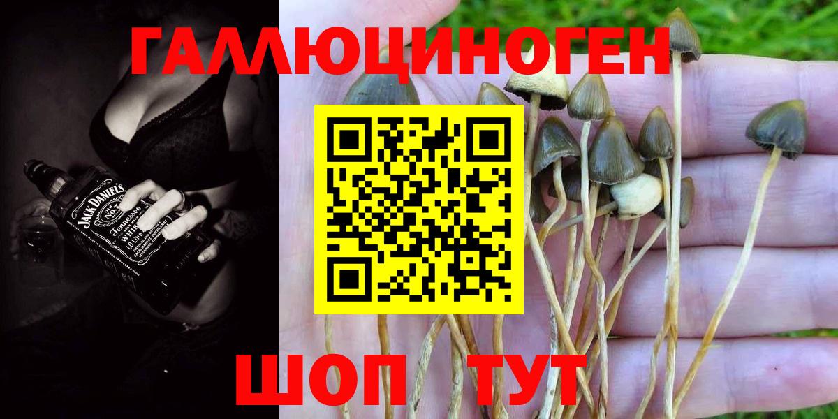 Псилоцибиновые грибы прущие грибы  где можно купить наркотик  Павловский Посад  Галлюциногенные грибы MAGIC MUSHROOMS  Вход с VPN 
